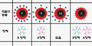 혈액형별 고찰, 질병 건강 관리 팁