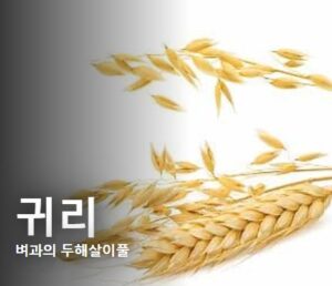 단백질 섬유질 섭취