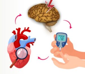 당뇨병과 심장병의 연관성