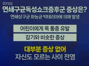 연쇄구균독성쇼크증후군